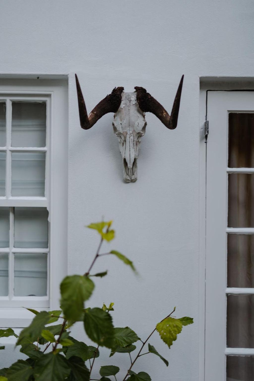 Radium Hall Guest House Cape Town Eksteriør bilde