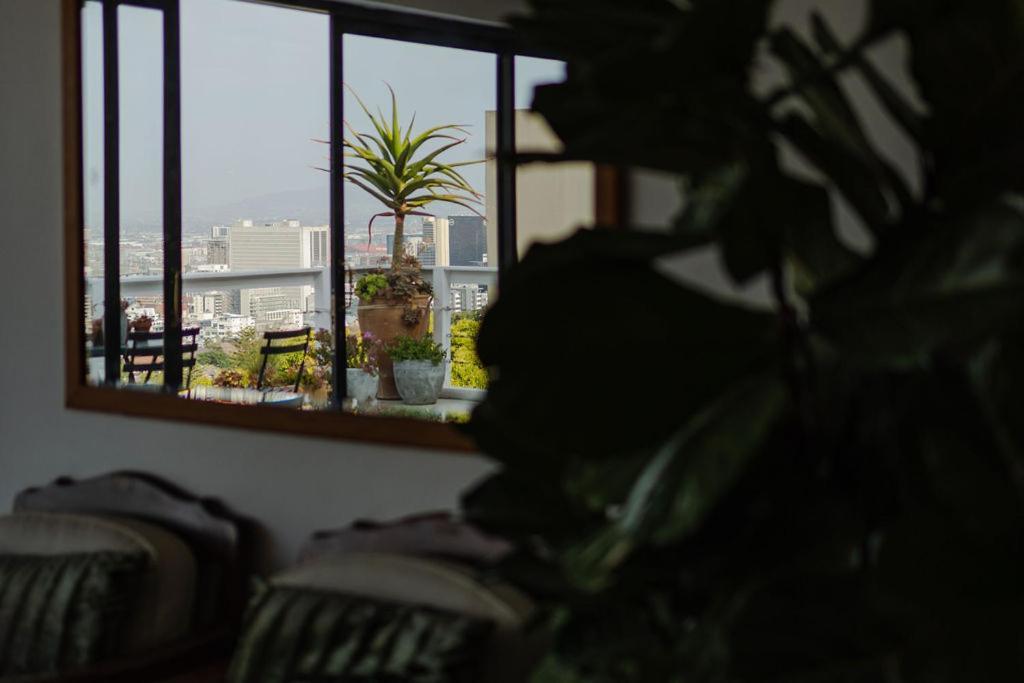 Radium Hall Guest House Cape Town Eksteriør bilde