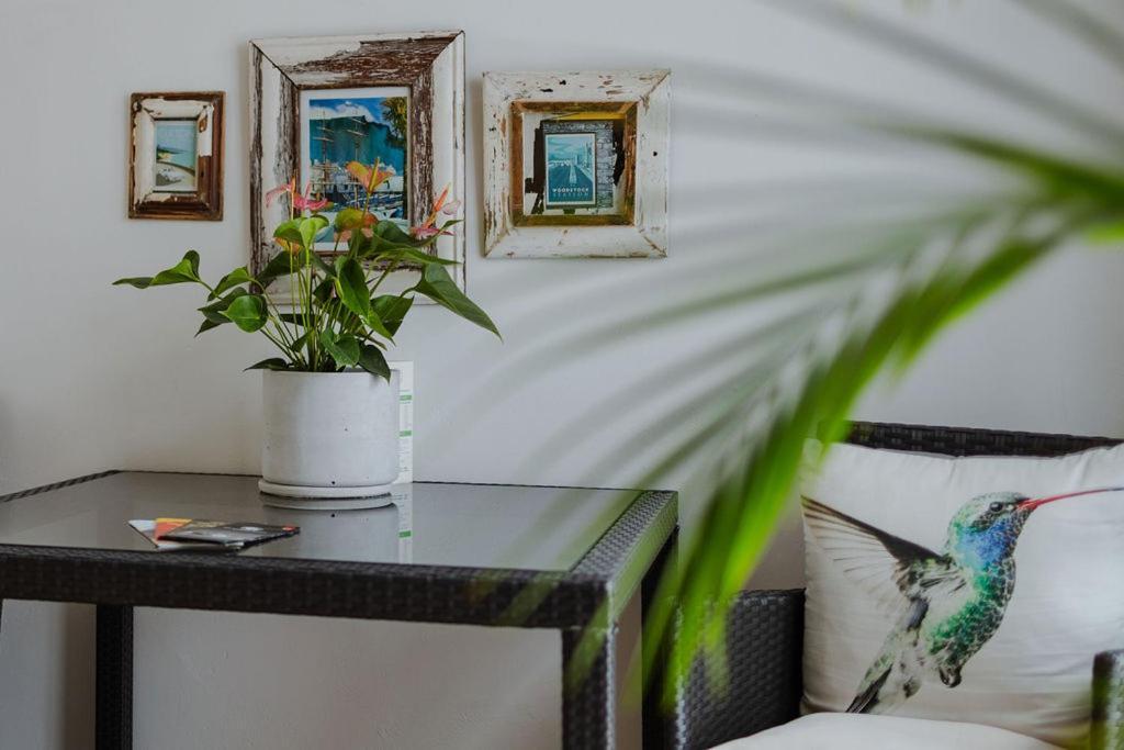 Radium Hall Guest House Cape Town Eksteriør bilde